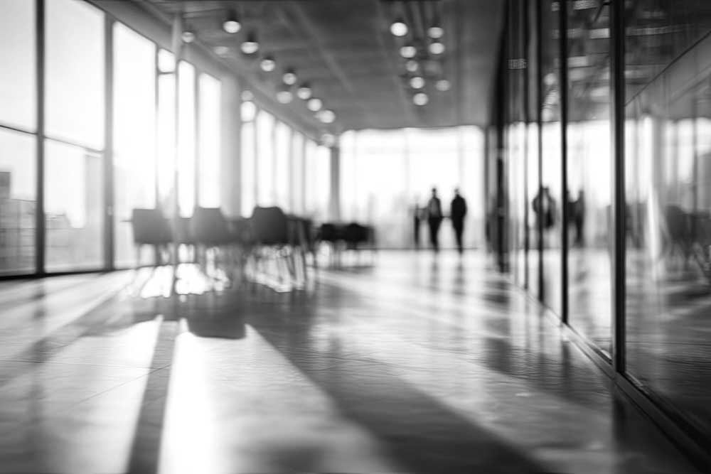 What Do You Need to Prove in a Professional Negligence Claim?