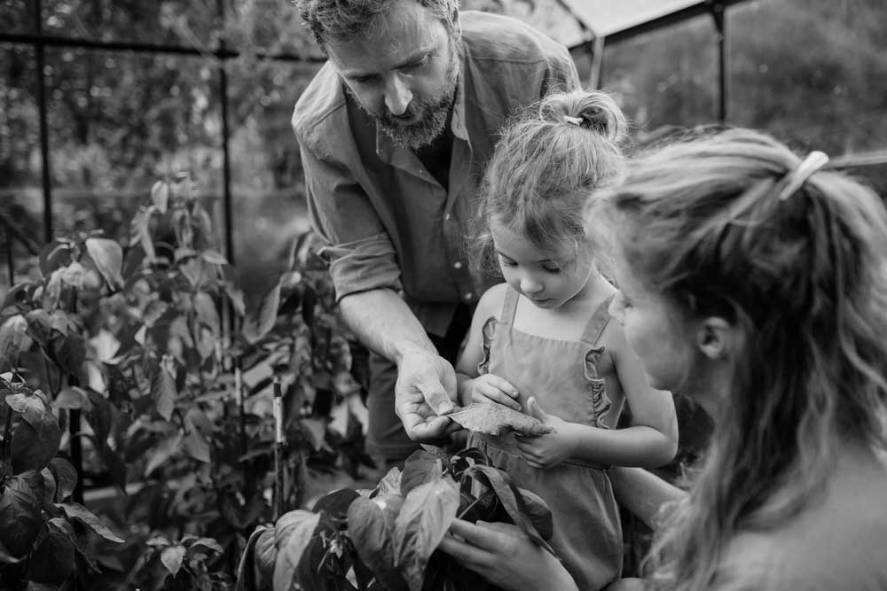Can a Family Member Challenge a Farm Succession Plan?