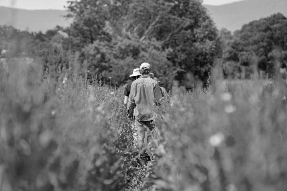 Farm Trust Disputes: What Goes Wrong and How to Fix It Without Losing the Farm