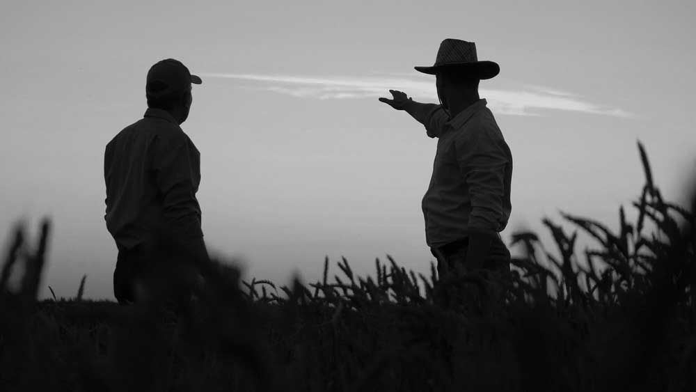 How Are Farming Assets Valued in a Succession Dispute?