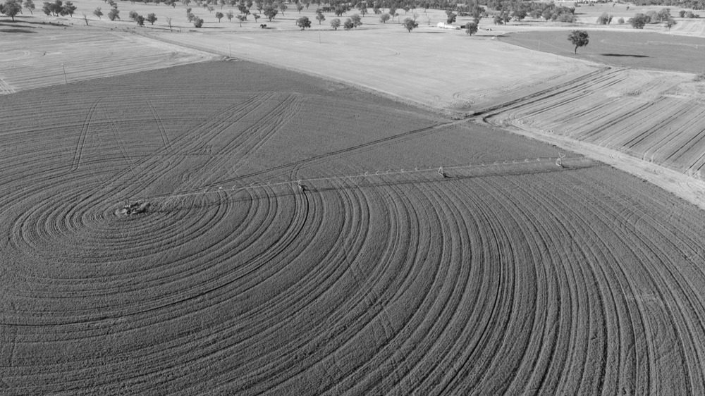 How Do Farming Families Divide Assets Between Farming and Non-Farming Children?